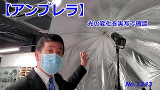 【アンブレラ】使うと使わないでの変化（動画No.1243）