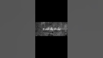 { كُلُّ مَنْ عَلَيْهَا فَانٍ } القارئ :#ياسر_الدوسري #القرآن_الكريم #اكسبلور #quran