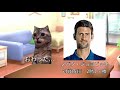 錦織圭を応援するときにあったこと #猫ミーム