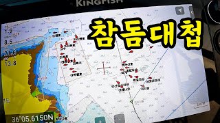 서해 첫 출항, 참돔 구경 실컷 하세요! (포인트 공개는 특급 비밀*)