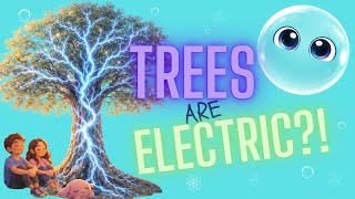 Trees Have Secret Signals… And Scientists Are Listening 👀🌳