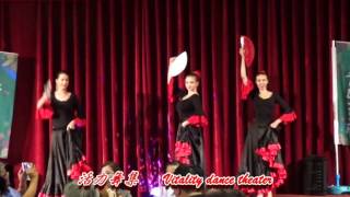 佛朗明哥舞蹈表演團體 西班牙的佛朗明哥舞蹈表演團 佛朗明哥舞團 佛拉明哥flamenco Youtube