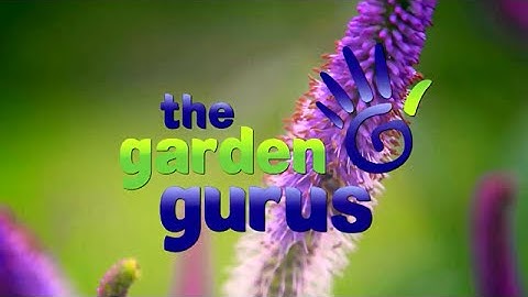 The Garden Gurus - Whats on in Episode 2