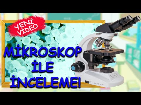 MİKROSKOP ile İnceleme