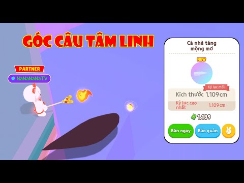 (Play Together) Test