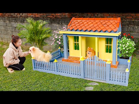 Videó: Kreatív kutya-apa Epic Living Area-t épít a Pooches számára