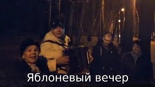 "Яблоневый вечер" песня под гармонь