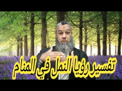 تفسير رؤيا النمل الكثير علي الفراش في المنام