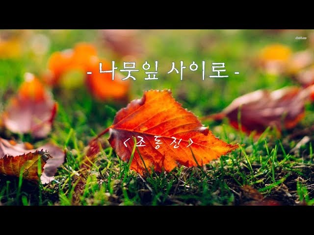 나뭇잎 사이로-조동진