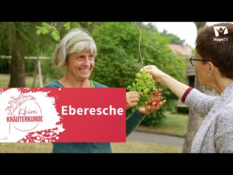 Video: Eberesche