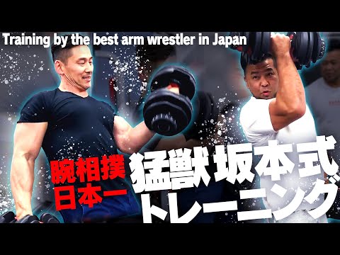 ARMSTRONG 腕相撲　トレーニング　入手困難 KONG