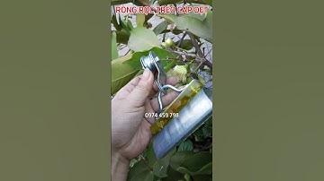 Con lăn treo cáp dẹt, rong roc treo cap det, con truot cap det cau truc, con lan dan cap det