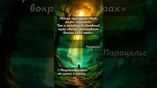 #магия #свет #путьсвета #путьдуши #добро #духовность #цитаты #осознанность #эзотерика #магиясвета
