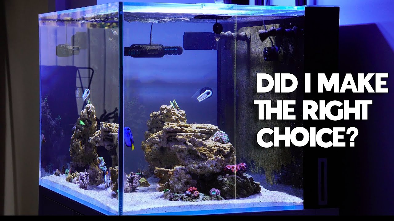 Мои первые впечатления от рифового аквариума Cade S3 900