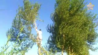 Morning Routine Village People Morning Routine Of Pakistani Hindu Pakistani Hindu Virgin Boy