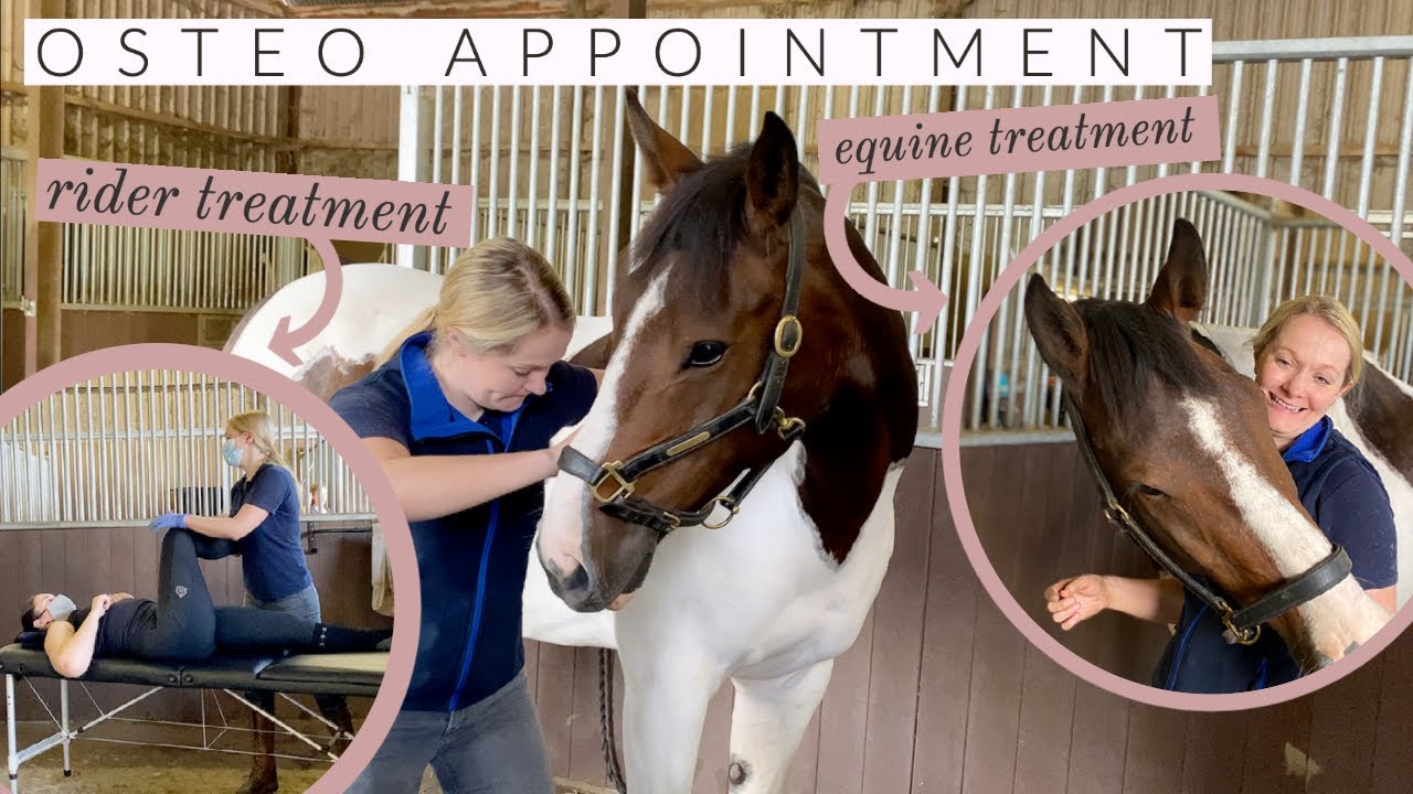 Woody & Are Sponsored! Our First Treatment With An Equine Osetopath | Riding With Rhi