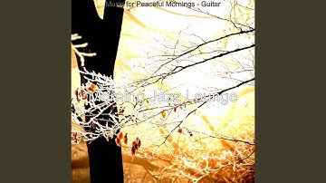 Sumptuous Backdrops for Working at Home