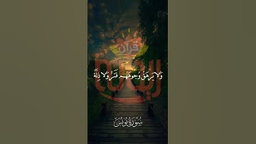 للذين أحسنوا الحسنى وزيادة. #سورة_يونس #ريحانة_قرآن #قرآن #تلاوات_خاشعة #ماهر_المعيقلي #ياسر_الدوسري