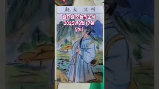 닭띠 오늘의운세 2025년8월17일 운세 #운세 #오늘의운세 #닭띠운세