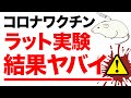 コロナワクチン|ラット実験の結果が・・・