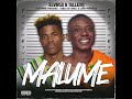 TallexQ & Chicco - Malume 2.0 ft  Makhadzi, Kabza De Small & Lxrd Mordecai