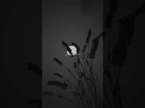 نزعت أسرار قلبي وجئت ا لقي أساي 