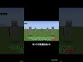 近づくと剣に持ち変えるスケルトン【マイクラ統合版】