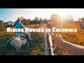 Colombia Vacation: Horseback Riding w/ Buffalo!