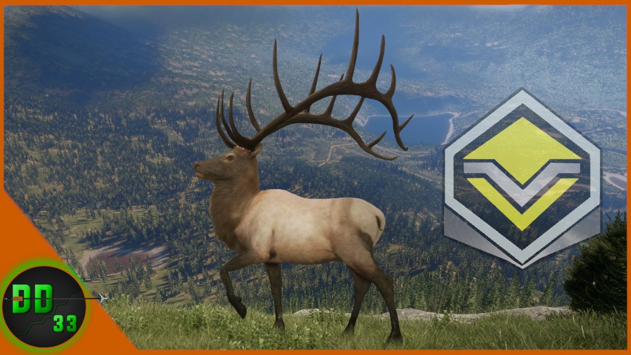 2 Monster Rocky Mountain ELK! Call Of The Wild YouTube
