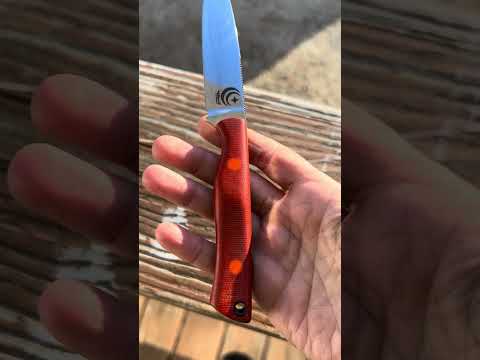 Babymoon Blades Bolt in Nitro-V!   