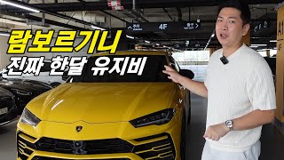 람보르기니 월급 얼마 벌어야 탈 수 있을까?