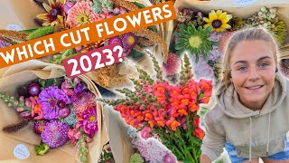 Which Cut Flower Varieties I'm Growing In 2023 (annual flowers for my flower farm)