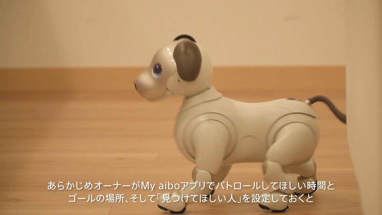 Aibo アイボの評価 成長する犬型ロボ ペットロボの頂点 ペットロボットショップ