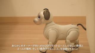 aibo やまちゃんさん専用 mqdefault.jpg
