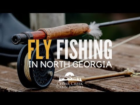 North Georgia Fly Hatch Chart