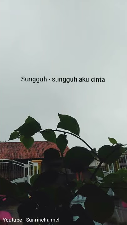 Snap WA Video [Sungguh Cinta - Glenn Samuel]