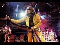 Aerosmith - Hole in my Soul - Live at Madison Square Garden 1997