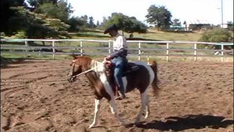 Horse bucking and Solving the Issue with Mike Hughes, Auburn California