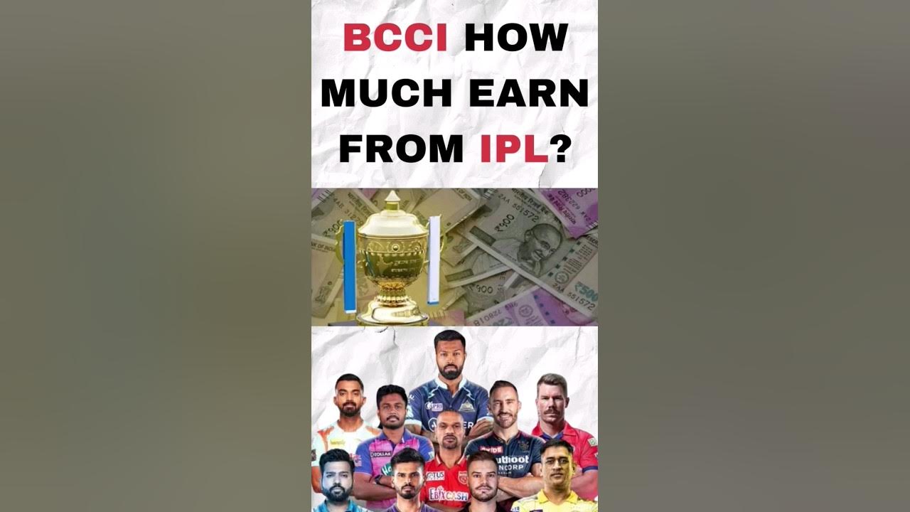 how much BCCI earn from IPL IPL the money game I tataipl2023 ipl 