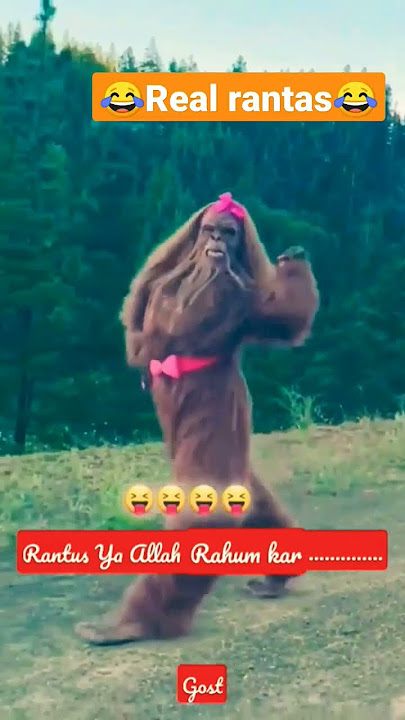 real rantas 😦 rantas in kashmir #kashmiri #rantas #shorts #youtubeshorts