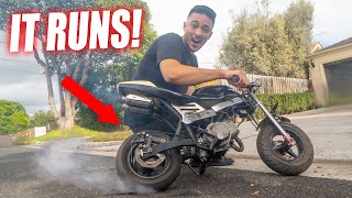 VICTORY BURNOUT! The Pocket Bike Runs