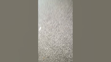 Yay my first loop #viral