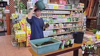 ■『ぽみんさん専用』ゆるふわ園芸やっちゃんねる □ついに開幕『見元園芸』×『やっちゃんねる』コラボ配信