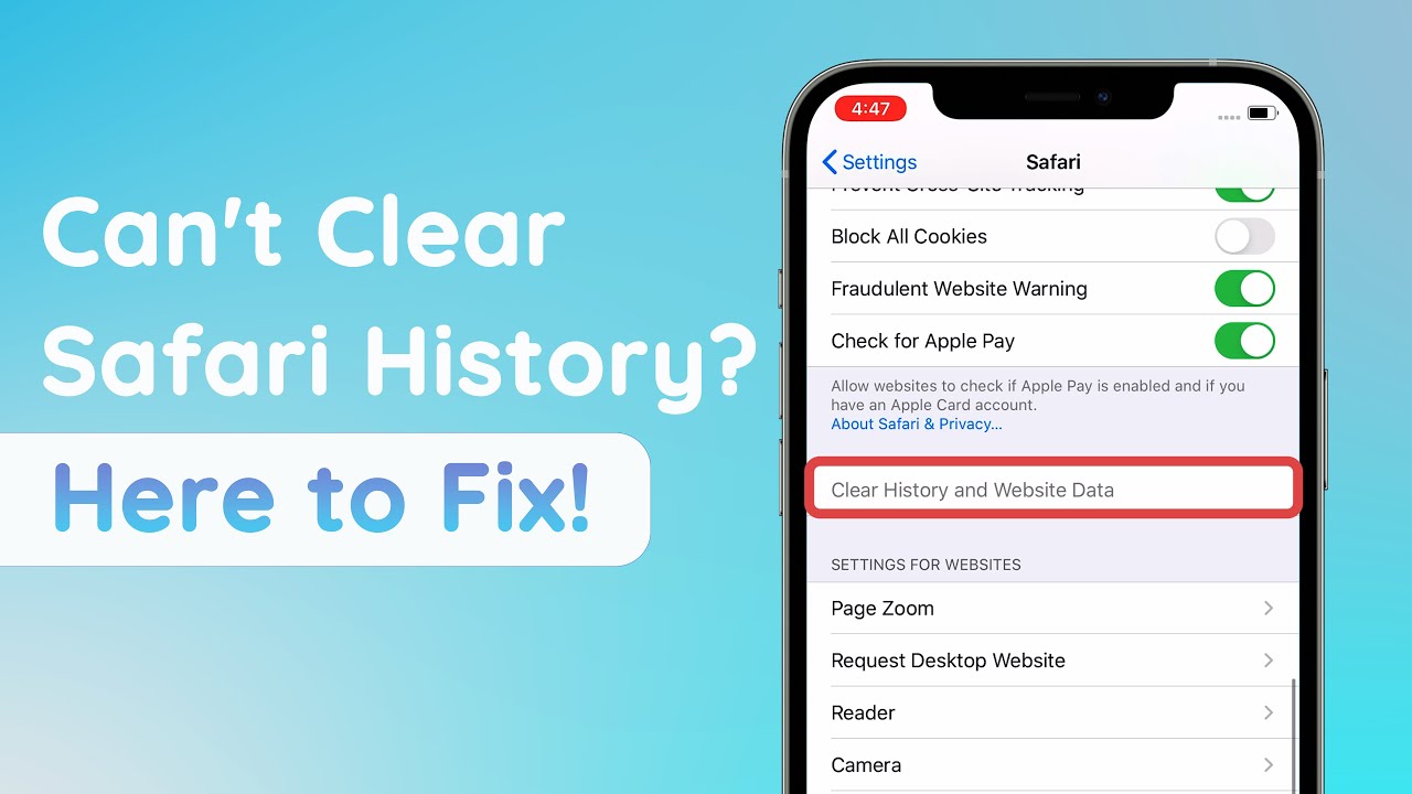 history won't delete safari