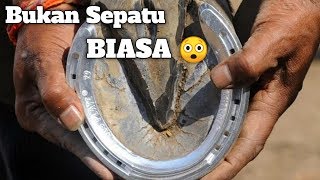 Oh Jadi Begini Cara Pasang Sepatu Kuda 😲
