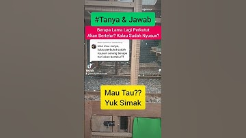 Berapa Lama Lagi Perkutut Bangkok Bertelur Kalau Pasangan Sudah Mulai Nyusun Sarang? Yuk Simak