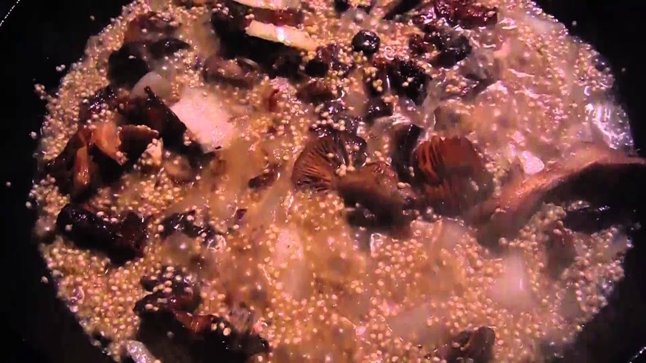 Cooking Wild Blewit, Puffball, and Chantrelle Mushrooms and Quinoa