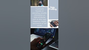 What is the Difference between Data Profiling and Data Mining ?