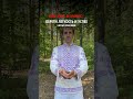 🌊 Усталость от рутины — не приговор.