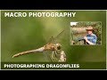 Macro photography photographing dragonflies